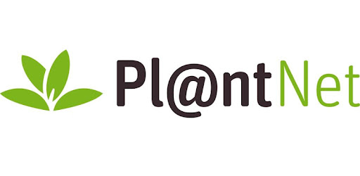 plantnet.jpg